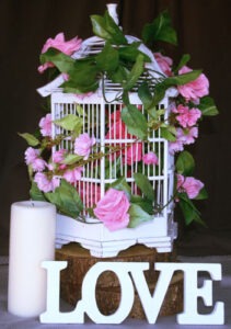 love birdcage